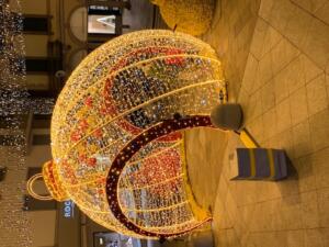 IMG_1291