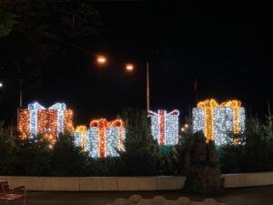 IMG_1296