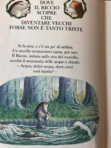 riccio-vecchio-WA0013